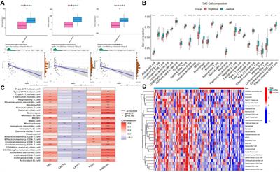 Identification of the methotrexate resistance-related diagnostic markers in osteosarcoma via adaptive total variation netNMF and multi-omics datasets